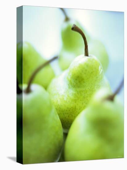 Green Pears-Maja Smend-Stretched Canvas