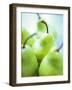 Green Pears-Maja Smend-Framed Photographic Print