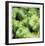 Green Peppers-Stacy Bass-Framed Giclee Print