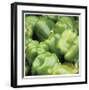 Green Peppers-Stacy Bass-Framed Giclee Print