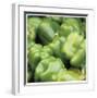 Green Peppers-Stacy Bass-Framed Giclee Print