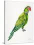 Green Perched Parrot-Cat Coquillette-Stretched Canvas