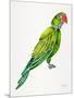 Green Perched Parrot-Cat Coquillette-Mounted Art Print