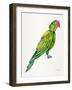 Green Perched Parrot-Cat Coquillette-Framed Art Print