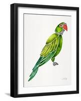 Green Perched Parrot-Cat Coquillette-Framed Art Print