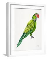 Green Perched Parrot-Cat Coquillette-Framed Art Print