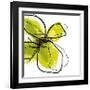 Green Petals-Jan Weiss-Framed Art Print