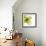 Green Petals-Jan Weiss-Framed Art Print displayed on a wall