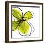 Green Petals-Jan Weiss-Framed Art Print