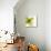 Green Petals-Jan Weiss-Mounted Art Print displayed on a wall