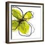 Green Petals-Jan Weiss-Framed Art Print