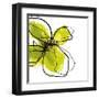 Green Petals-Jan Weiss-Framed Art Print