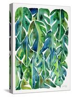 Green Philodendron-Cat Coquillette-Stretched Canvas