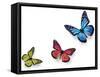 Green Pink And Blue Butterflies Isolated On White With Soft Shadow Beneath Each-Ambient Ideas-Framed Stretched Canvas