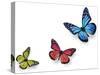 Green Pink And Blue Butterflies Isolated On White With Soft Shadow Beneath Each-Ambient Ideas-Stretched Canvas