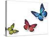 Green Pink And Blue Butterflies Isolated On White With Soft Shadow Beneath Each-Ambient Ideas-Stretched Canvas