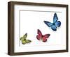 Green Pink And Blue Butterflies Isolated On White With Soft Shadow Beneath Each-Ambient Ideas-Framed Photographic Print