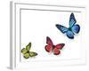 Green Pink And Blue Butterflies Isolated On White With Soft Shadow Beneath Each-Ambient Ideas-Framed Photographic Print