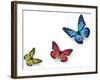 Green Pink And Blue Butterflies Isolated On White With Soft Shadow Beneath Each-Ambient Ideas-Framed Photographic Print