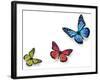 Green Pink And Blue Butterflies Isolated On White With Soft Shadow Beneath Each-Ambient Ideas-Framed Photographic Print