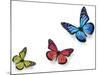 Green Pink And Blue Butterflies Isolated On White With Soft Shadow Beneath Each-Ambient Ideas-Mounted Photographic Print