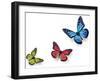 Green Pink And Blue Butterflies Isolated On White With Soft Shadow Beneath Each-Ambient Ideas-Framed Photographic Print