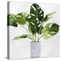 Green Plant-Asia Jensen-Stretched Canvas