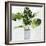 Green Plant-Asia Jensen-Framed Art Print