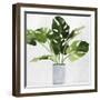 Green Plant-Asia Jensen-Framed Art Print