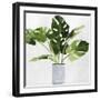 Green Plant-Asia Jensen-Framed Art Print