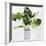 Green Plant-Asia Jensen-Framed Art Print