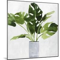 Green Plant-Asia Jensen-Mounted Art Print