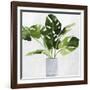 Green Plant-Asia Jensen-Framed Art Print