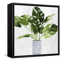 Green Plant-Asia Jensen-Framed Stretched Canvas