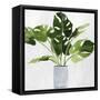 Green Plant-Asia Jensen-Framed Stretched Canvas