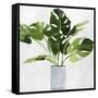 Green Plant-Asia Jensen-Framed Stretched Canvas