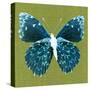 Green Pop Butterfly-Christine Caldwell-Stretched Canvas