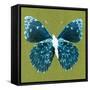 Green Pop Butterfly-Christine Caldwell-Framed Stretched Canvas