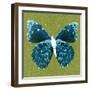 Green Pop Butterfly-Christine Caldwell-Framed Art Print