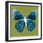 Green Pop Butterfly-Christine Caldwell-Framed Art Print