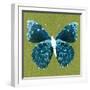 Green Pop Butterfly-Christine Caldwell-Framed Art Print