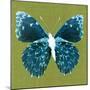 Green Pop Butterfly-Christine Caldwell-Mounted Art Print