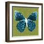 Green Pop Butterfly-Christine Caldwell-Framed Art Print