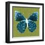 Green Pop Butterfly-Christine Caldwell-Framed Art Print