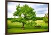 Green Power-Philippe Sainte-Laudy-Framed Photographic Print