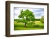 Green Power-Philippe Sainte-Laudy-Framed Photographic Print