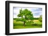 Green Power-Philippe Sainte-Laudy-Framed Photographic Print