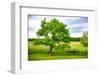 Green Power-Philippe Sainte-Laudy-Framed Photographic Print