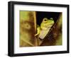 Green Reed Frog Sitting on a Plant-null-Framed Photographic Print