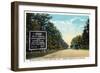 Green Ridge, Maryland - National Road at Summit Scene-Lantern Press-Framed Art Print